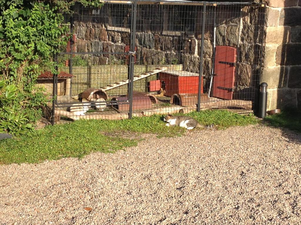 Lyckas Gards Gaestboende Hoganas Exterior foto